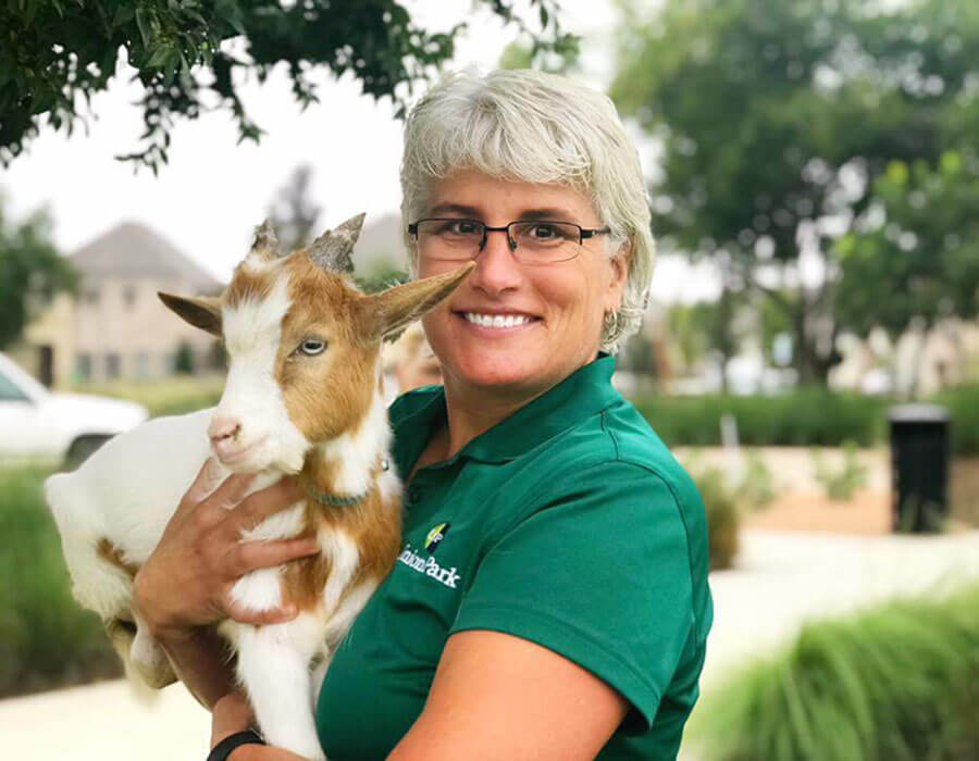 Lady and Goat at Union Park