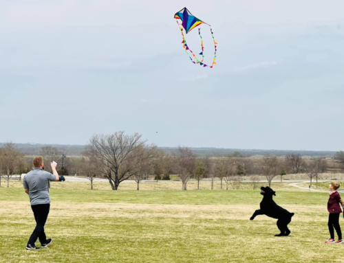 20 Ways to Have Fun at the Park