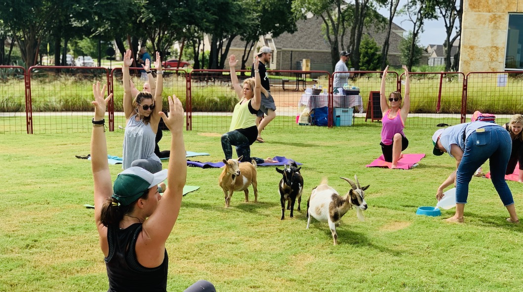 banner-lifestyle yoga time at Union Park